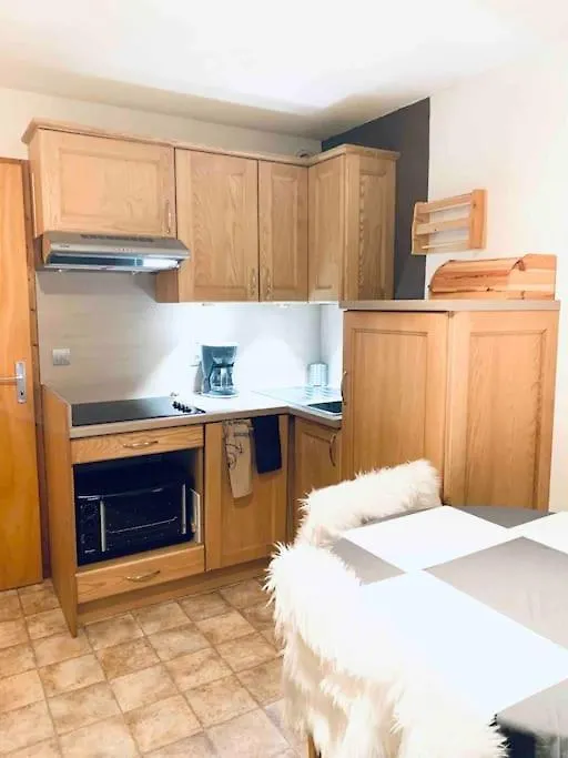 Appartement Au Pied Des Pistes Châtel Lägenhet
